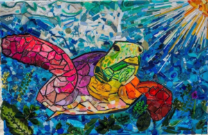 Turtle Image